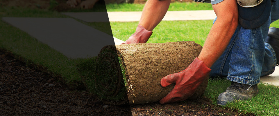 Traverse City Landscapers